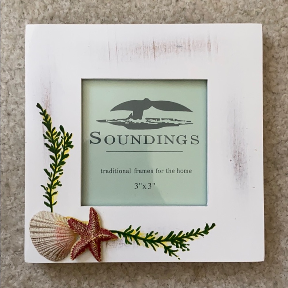 Seashell picture frame